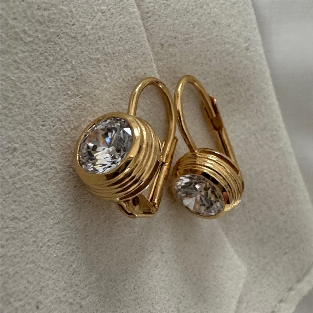 NEW!  Hart bezel drop earrings